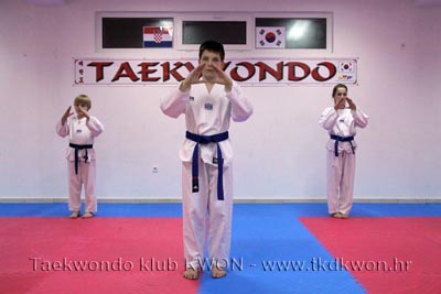 taekwondo kwon ekipa